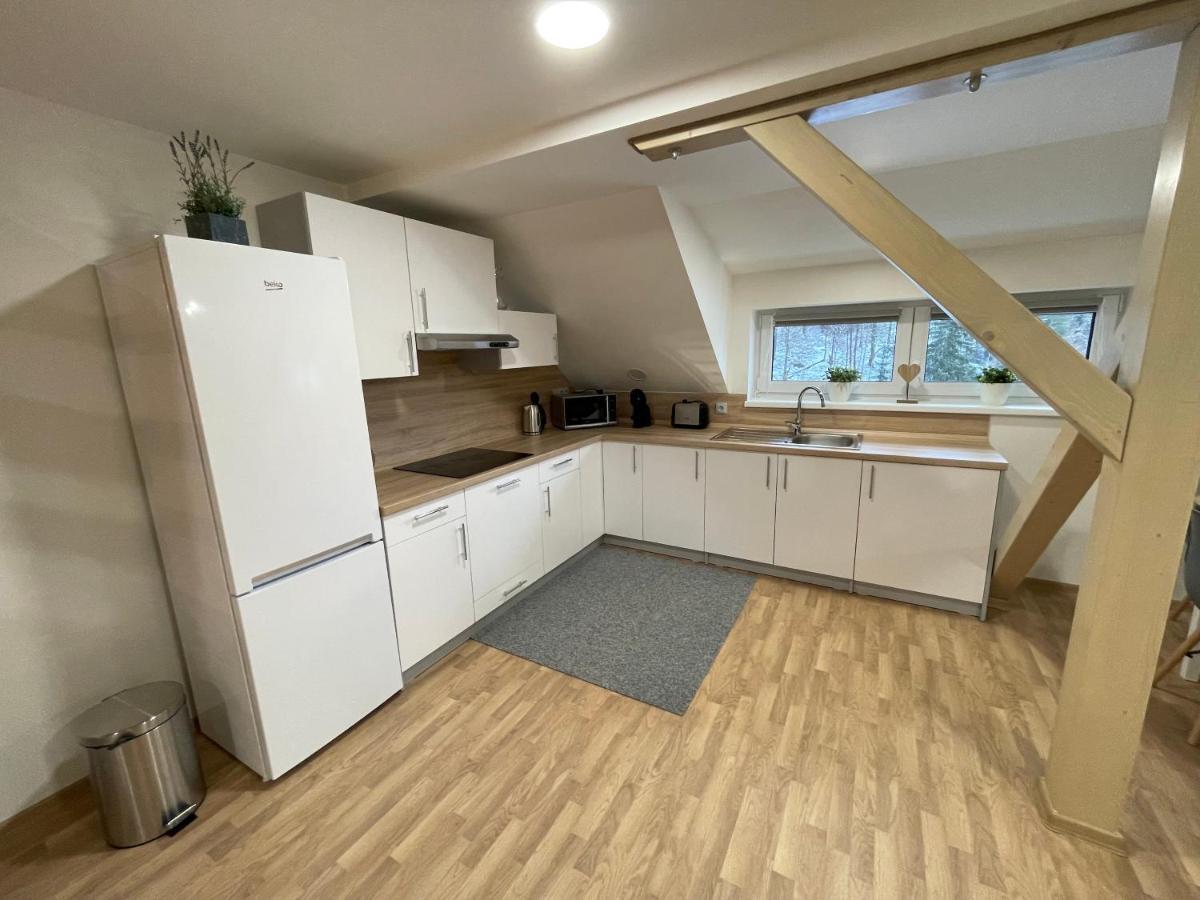 Apartmány Herc Jáchymov Exterior foto