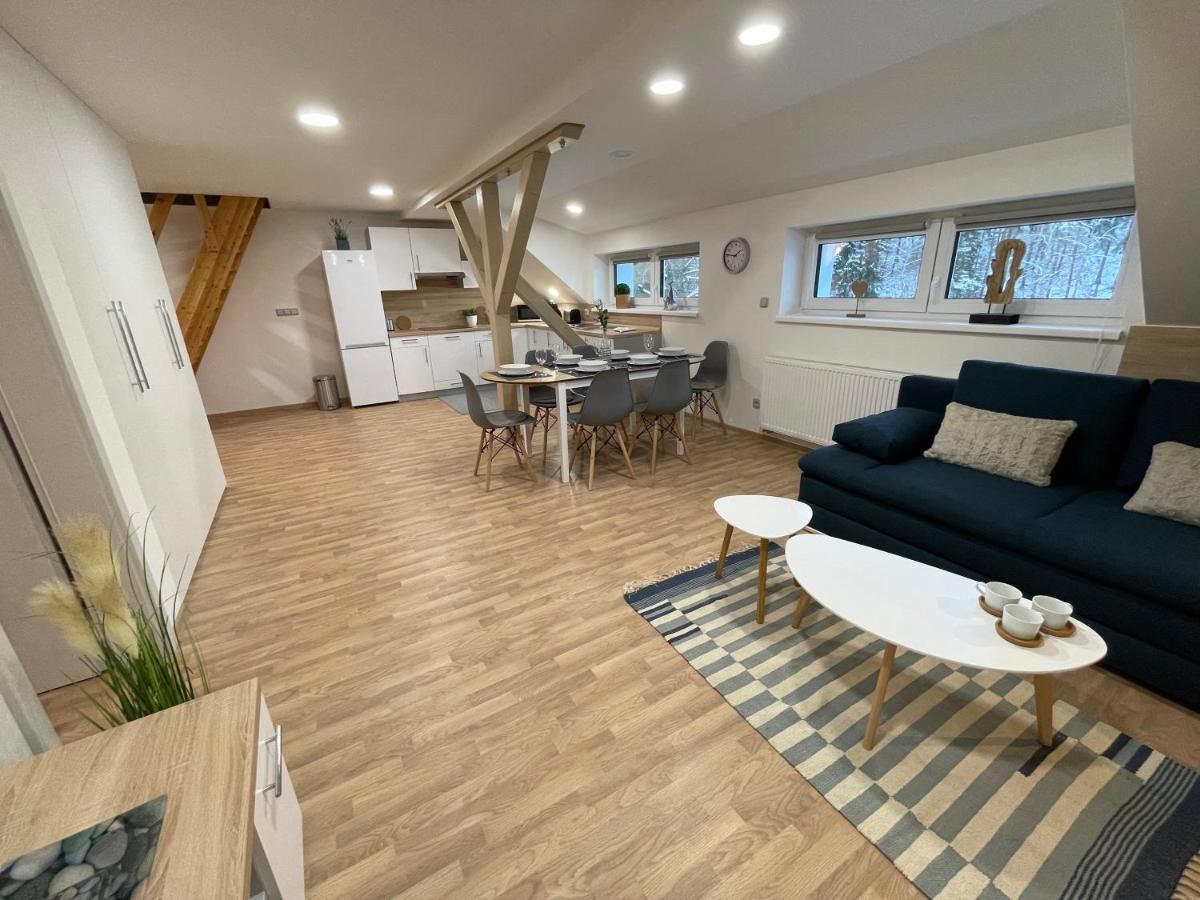 Apartmány Herc Jáchymov Exterior foto