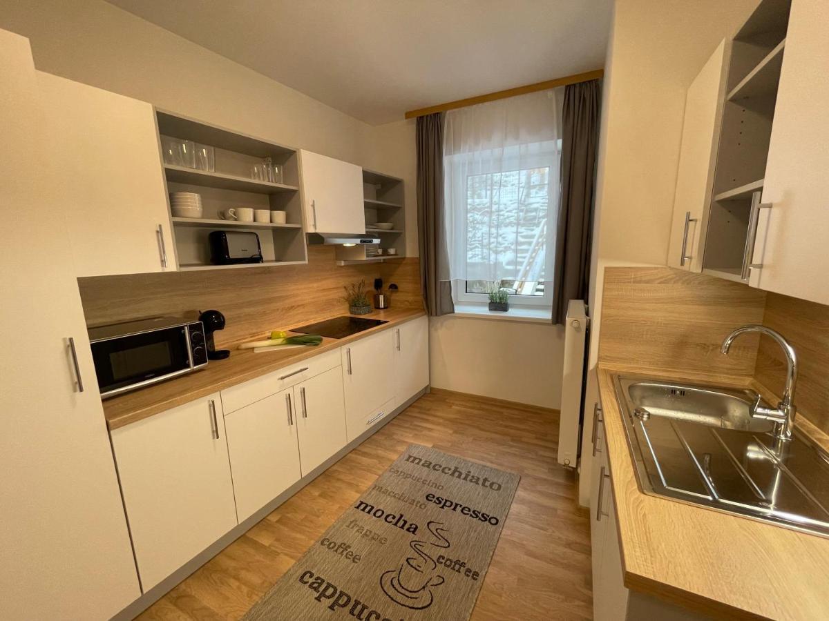Apartmány Herc Jáchymov Exterior foto
